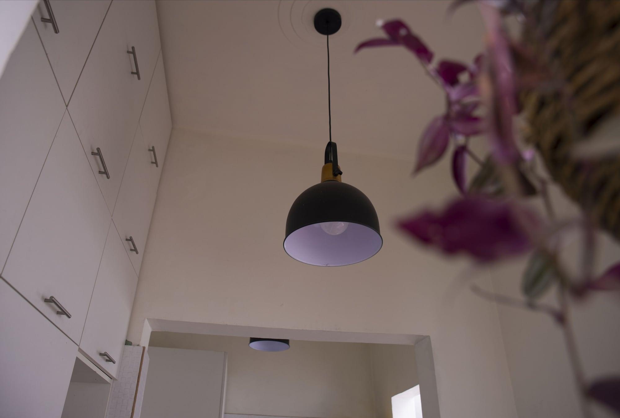 Red Llama Eco Hostel Λίμα Εξωτερικό φωτογραφία