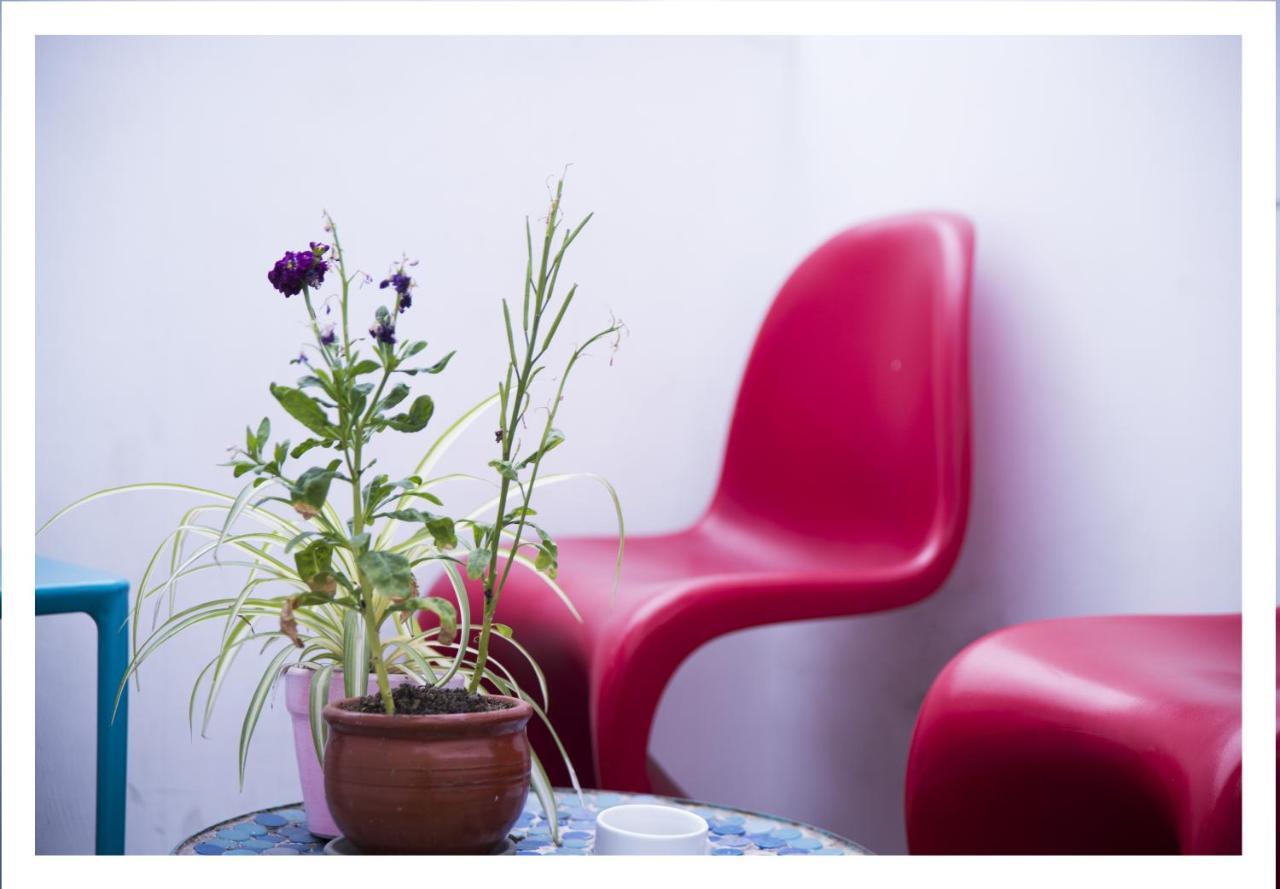 Red Llama Eco Hostel Λίμα Εξωτερικό φωτογραφία